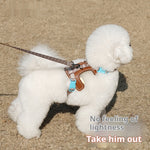 Load image into Gallery viewer, Dog Harness Anti Loose Adjustable Dog Leash

