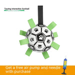 Load image into Gallery viewer, Dog Interactive Football Toys Children Soccer Dog Outdoor Training Balls Pet Sporty Bite Chew Teething Ball With Cute Printing
