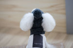 Load image into Gallery viewer, Tide pet clothes dog hat bib suit Teddy Bomei wool scarf autumn winter hat pet scarf
