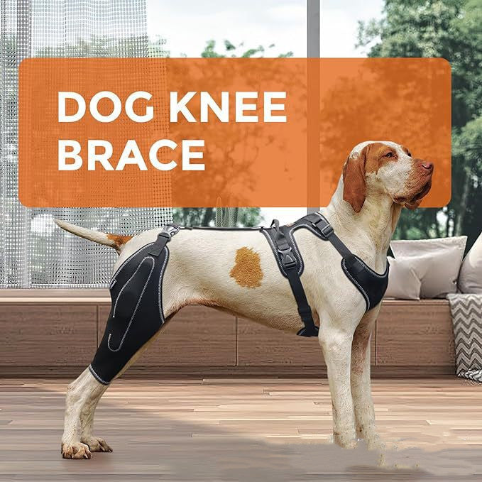 Acl knee pad hip dysplasia joint pain relief protective gear strap