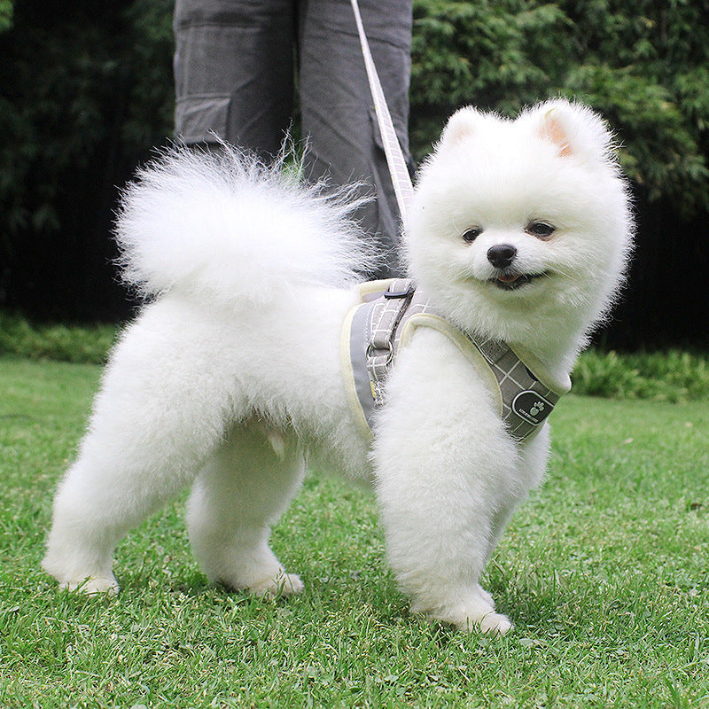 The new dog leash reflective strips go out at night