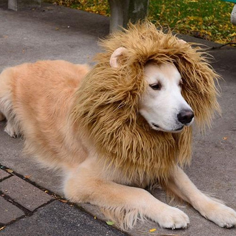 Cute pet cosplay clothes transfiguration costume lion mane winter warm wig cat large dog party decoration with ear pet apparel