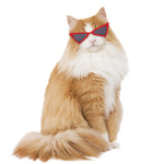 Load image into Gallery viewer, Funny Color Glasses Accessories For Dogs And Cats
