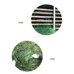 Load image into Gallery viewer, Dried Timothy FCL Hay Snacks Feed Chinchilla Guinea Pig Food Rabbits Pet Products
