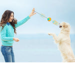 Load image into Gallery viewer, New Pet Draw Rope Hand Throwing Ball ABS Grinding Teeth Resistant Chew Dog Training Ball
