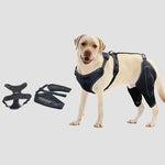 Load image into Gallery viewer, Acl Knee Pad Hip Dysplasia Joint Pain Relief Protective Gear Strap
