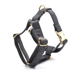Load image into Gallery viewer, Dark Grey Velvet Pet Collar Leash
