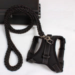 Load image into Gallery viewer, Dog leash dog leash chest strap

