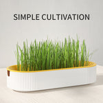 Load image into Gallery viewer, Hydroponic Cat Grass Box Plastic Tray Cat Grass Growing Kit Cat Grass Planter Hydroponic Cat Grass Box Cat Grass Sprouter Tray Interactive Cat Toy Window Planter Soilless For Pet Cat Plastic Plant Pot
