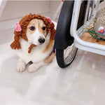 Load image into Gallery viewer, Pomeranian Teddy Dog Funny Cat Headgear
