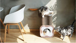 Load image into Gallery viewer, Plumeria Cat Scratching Board Combination Corrugated Tunnel Cat Toy
