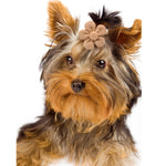 Load image into Gallery viewer, Pet Headdress Flower Spring Flower Solid Color Headdress Flower Dog Cat Accessories
