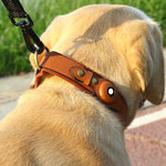 Load image into Gallery viewer, Location Tracker First Layer Leather Dog Pet Collar
