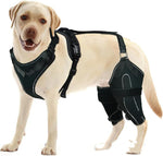 Load image into Gallery viewer, Acl Knee Pad Hip Dysplasia Joint Pain Relief Protective Gear Strap
