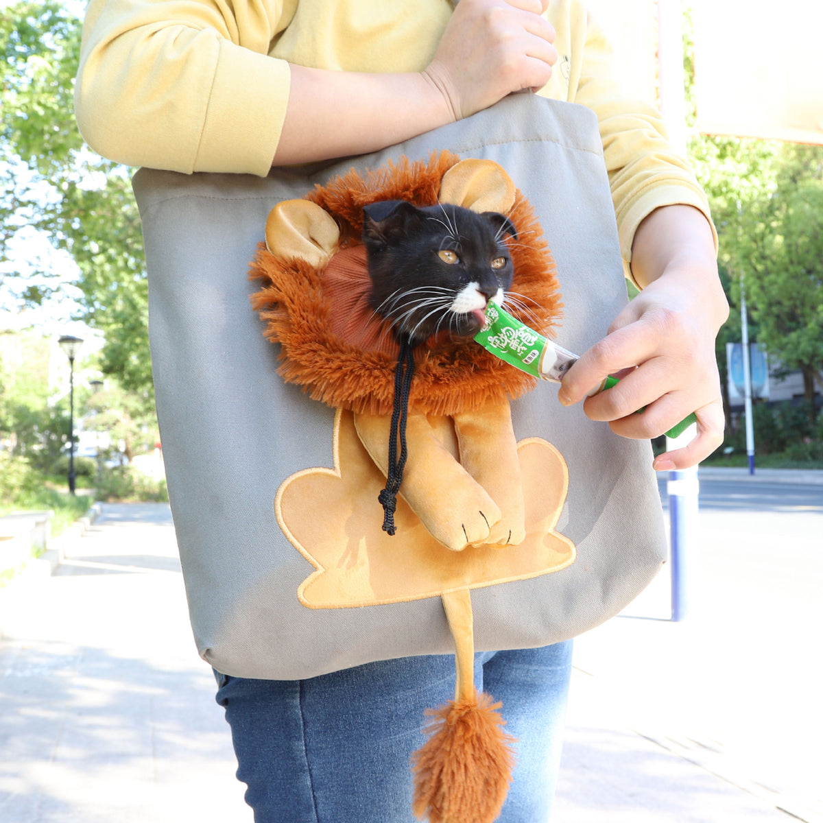 Soft pet carriers lion design portable breathable bag cat dog carrier bags outgoing travel pets handbag with safety zippers