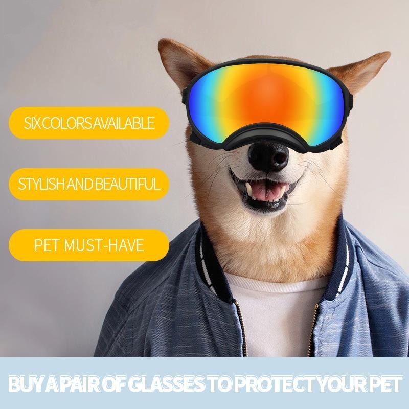 Fashionable ski sunglasses for large and medium sized pet dogs