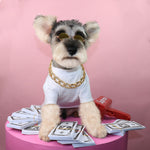 Load image into Gallery viewer, Pet Necklace Bead Chain Pet Jewelry
