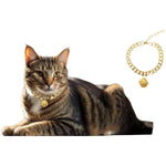 Load image into Gallery viewer, Gold Cat Chain Collar With Bell Lightweight Metal Necklace For Long Lasting Wear, Adjustable Jewelry For Cats And Dogs
