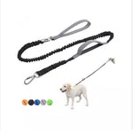 Load image into Gallery viewer, YT Pet Dog Explosion Proof Impact Leash, Heavy Duty Dog Leash With Padded Double Handle Car Seat Belts, 4-6 Feet Long
