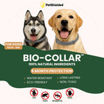 Load image into Gallery viewer, Pet Anti-mosquito Collar Cat Dog Adjustable Insect Repellent Collar Pet Supplies
