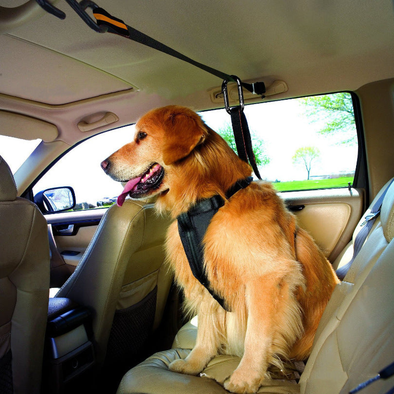 Pet safety belt dual purpose car lanyard