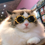 Load image into Gallery viewer, Red Pet Sunglasses Cat Model Fashion Love Eyeglass Frames
