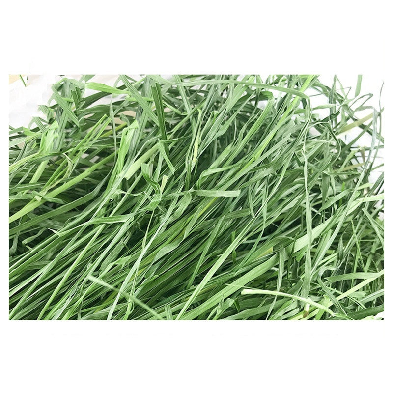 Dried timothy fcl hay snacks feed chinchilla guinea pig food rabbits pet products