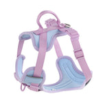 Load image into Gallery viewer, Dog Breast Strap Hand Holding Rope Dog Leash Collar Chest Back
