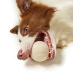 Load image into Gallery viewer, Outdoor Interactive Tennis Dog Toys
