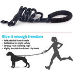 Load image into Gallery viewer, Small Medium Sized Pet Dog Luminous Leash Chain Puppies

