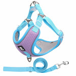 Load image into Gallery viewer, Breathable Pet Harness Adjustable Leash
