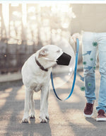 Load image into Gallery viewer, Go out pet mouth cover
