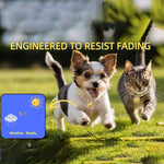 Load image into Gallery viewer, Gold Cat Chain Collar With Bell Lightweight Metal Necklace For Long Lasting Wear, Adjustable Jewelry For Cats And Dogs
