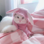 Load image into Gallery viewer, Fashion Personality Small Pet Accessory Mirror
