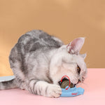 Load image into Gallery viewer, Pet Cat Mint Ball Toy Zihi Molar Pet Products
