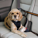 Load image into Gallery viewer, Pet Safety Belt Dual-purpose Car Lanyard
