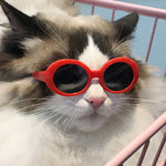 Load image into Gallery viewer, Red Pet Sunglasses Cat Model Fashion Love Eyeglass Frames
