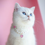 Load image into Gallery viewer, Pet Cat Beads Love Necklace
