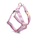 Load image into Gallery viewer, Dark Grey Velvet Pet Collar Leash
