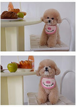 Load image into Gallery viewer, Super Soft Crocheted Cat Saliva Towel For Pets With Cute Pig Decoration
