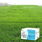 Load image into Gallery viewer, Dried Timothy FCL Hay Snacks Feed Chinchilla Guinea Pig Food Rabbits Pet Products
