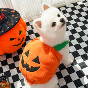 Pet Hat Halloween Funny Pumpkin Hat