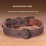 Load image into Gallery viewer, Medium Bell Anti-lost Pet Collar

