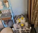 Load image into Gallery viewer, Dog Kennel Cat Kennel Pet Hanger Swing Cradle Full Dog Bed
