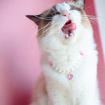Load image into Gallery viewer, Pet Cat Beads Love Necklace
