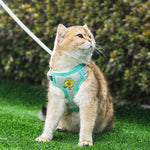 Load image into Gallery viewer, Cat Traction Rope Special Anti Break Pet Supplies
