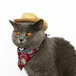 Load image into Gallery viewer, Pet Cat Western Straw Cowboy Hat

