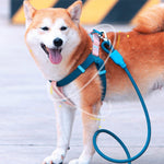 Load image into Gallery viewer, Dog Outing Hand Holding Rope PVC Waterproof Chest And Back Collar Stain Resistant
