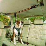 Load image into Gallery viewer, Pet Safety Belt Dual-purpose Car Lanyard
