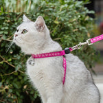 Load image into Gallery viewer, Pet Cat Bell Chest Strap Haulage Rope Package Vest Small Dog Teddy Leash
